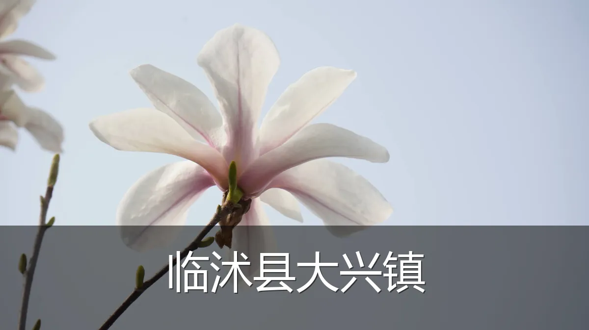 临沭县大兴镇